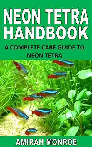 NEON TETRA HANDBOOK: A COMPLETE CARE GUIDE TO NEON TETRA